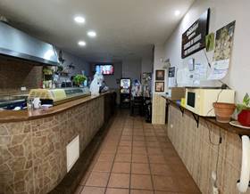 premises for sale in san luis de sabinillas