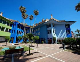 apartments for sale in sotogrande