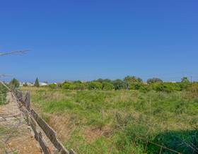land sale els poblets almadrava by 60,000 eur