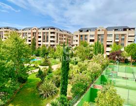 apartments for rent in majadahonda