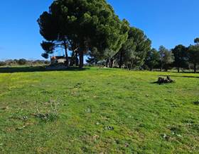 land sale aldea del cano carretera aldea del cano-albala by 160,000 eur