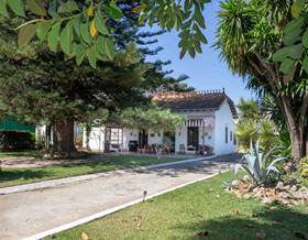 houses for sale in pedreguer