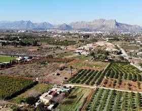 lands for sale in pedreguer