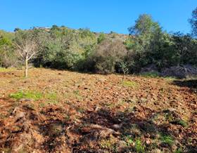 land sale denia by 159,000 eur