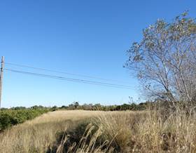 lands for sale in parcent