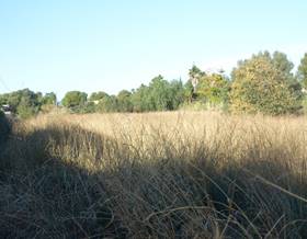 lands for sale in denia
