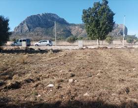 land sale el verger casco urbano by 300,000 eur