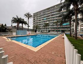 apartment sale gandia playa de gandia by 245,000 eur