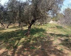 lands for sale in guadasequies