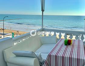 houses for rent in rio san pedro