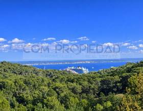 lands for sale in palma de mallorca