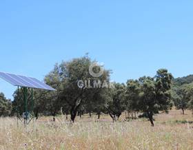 lands for sale in sierra de fuentes