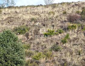 lands for sale in maluenda