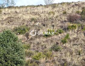 lands for sale in paracuellos de jiloca