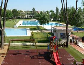 apartments for rent in mairena del aljarafe