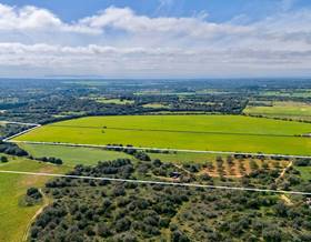 lands for sale in cala d´or