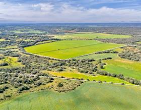 lands for sale in santanyi
