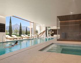 apartments for sale in san pedro de alcantara