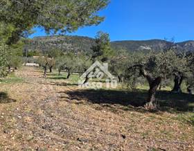 land sale onil arcaeta by 63,000 eur