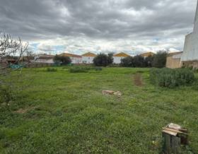 land sale huelva resto provincia by 225,000 eur