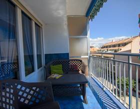 apartments for rent in el campello