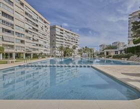 flat rent alicante alicante by 1,200 eur