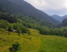 houses for rent in canillo