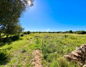 land sale santanyi es llombards by 595,000 eur