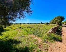 lands for sale in santanyi