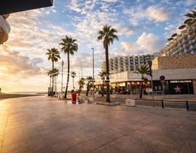 flat sale cádiz cadiz by 550,000 eur