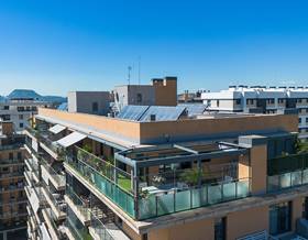 apartments for sale in torrellano