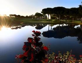 houses for sale in los monteros