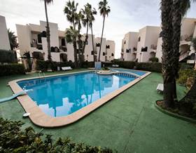 apartments for rent in torrevieja