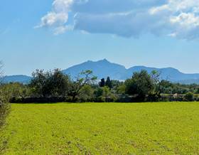 land sale porreres porreres by 175,000 eur