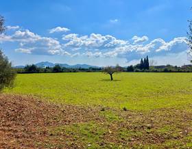 lands for sale in llucmajor
