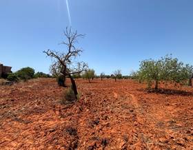 land sale llucmajor llucmajor interior by 199,000 eur
