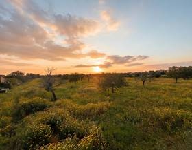 land sale llucmajor llucmajor (pueblo) by 220,000 eur