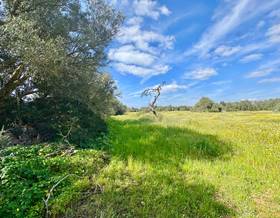 land sale campos campos by 350,000 eur