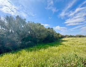 lands for sale in campos