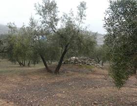 land sale peligros vega de granada zona noroeste by 144,000 eur