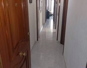 flat rent almeria altamira by 695 eur