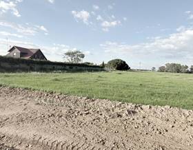 land sale gibraleon el pintado by 96,000 eur