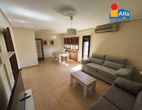 penthouses for sale in caceres province
