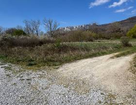 lands for sale in olazti olazagutia
