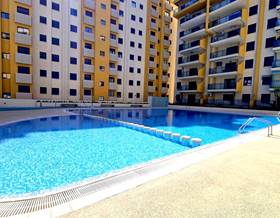 penthouse rent gandia by 1,000 eur