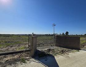 land rent alicante torrellano by 2,400 eur