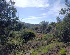 land sale el rafol d´almunia monte pego by 250,000 eur