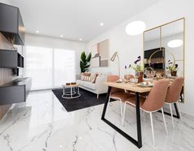 villas for sale in san miguel de salinas