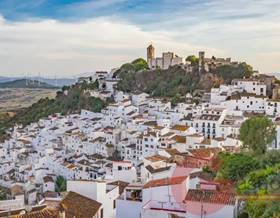 houses for sale in casares