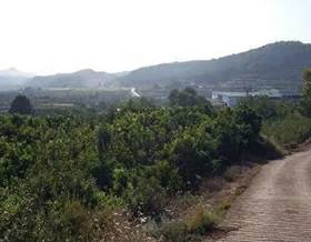 lands for sale in manuel